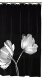 Maytex Tulip Photoreal Vinyl PEVA Shower Curtain, Black