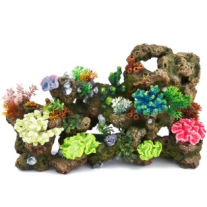 Коралловые камни и растения